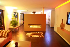 Einfamilienhaus in Trierweiler